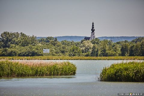 Gemeinde Ering Landkreis Rottal-Inn Aussichtsturm Unterer Inn Blick nach Mining (Dirschl Johann) Deutschland PAN